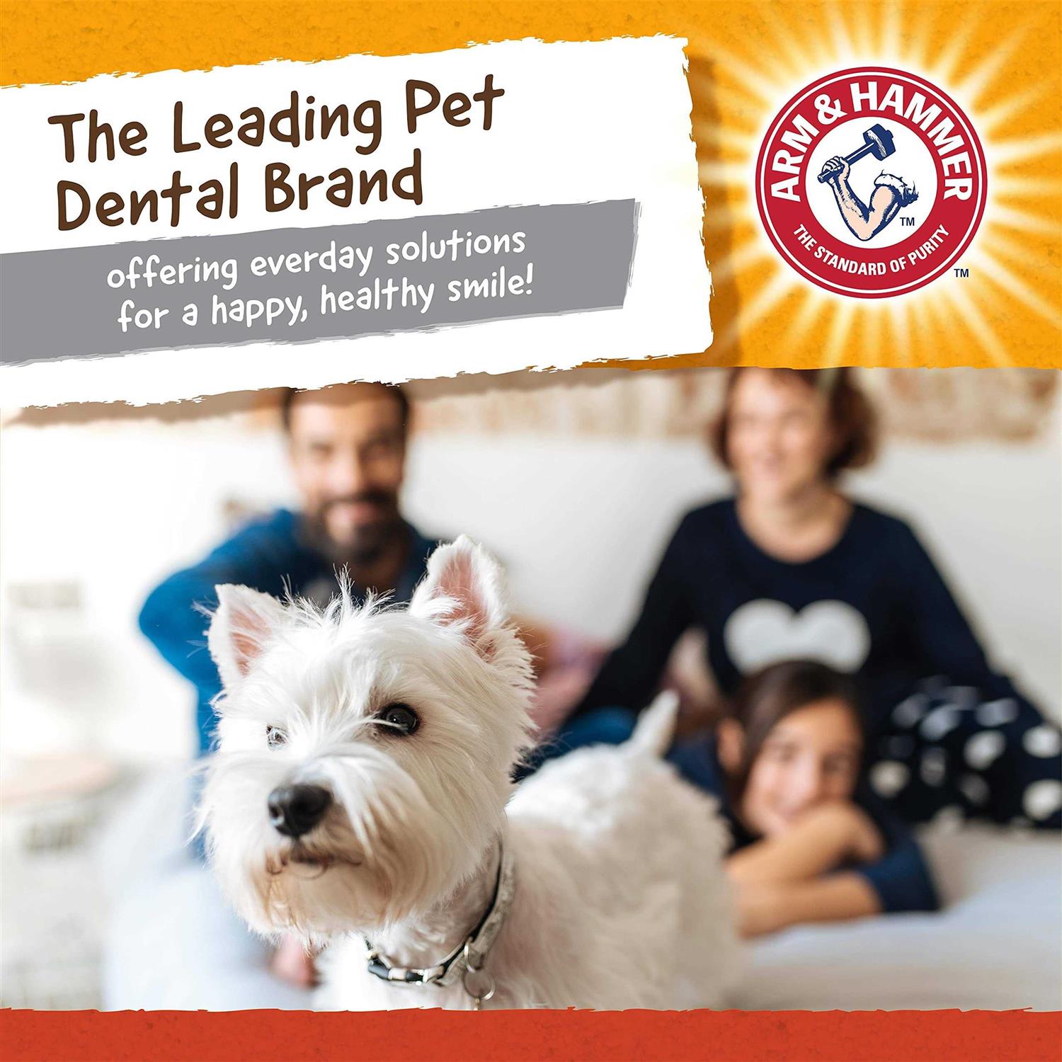 Arm & Hammer Treadz Gorilla Dental Dog Toy - Healthber