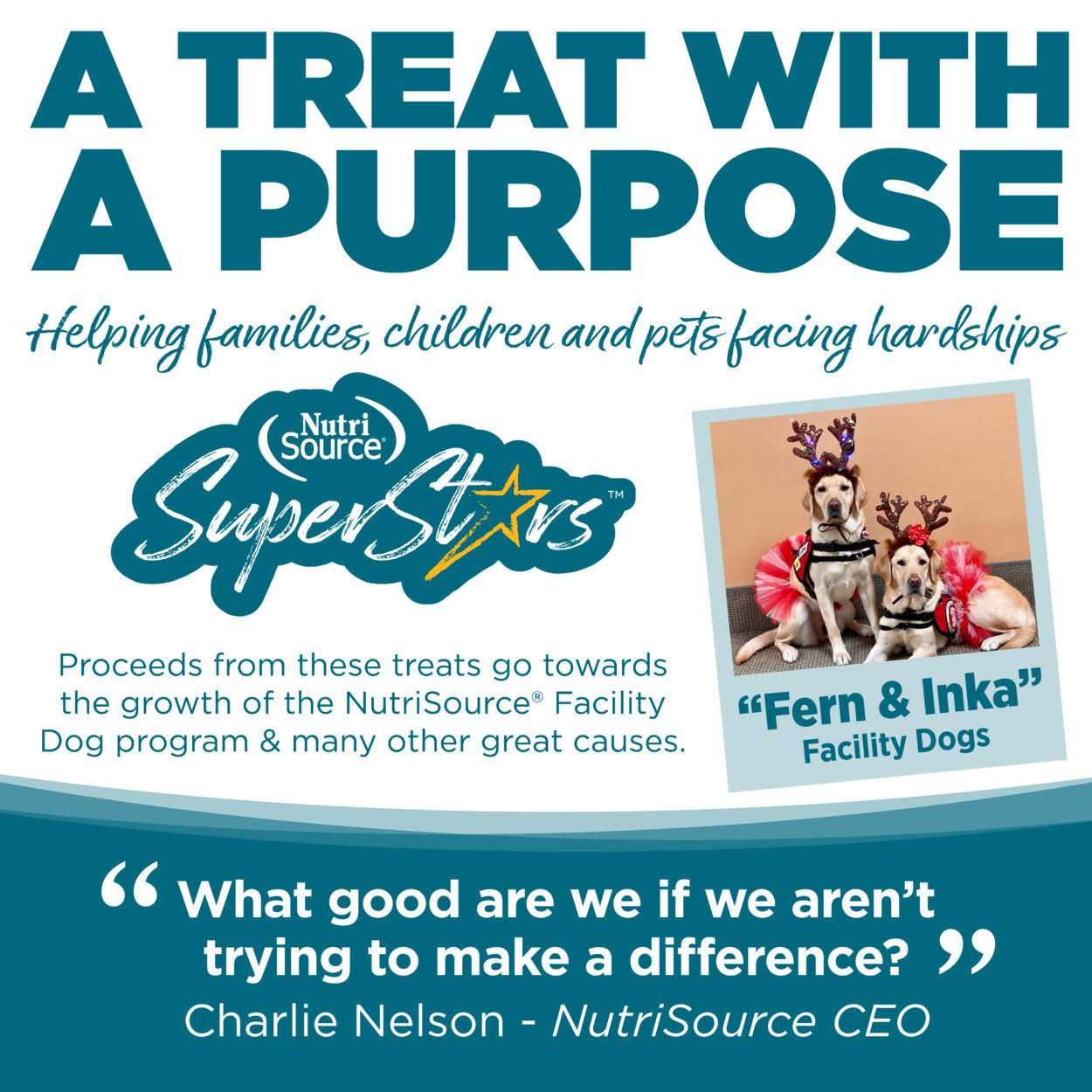 NutriSource Chicken Dog Training Treats - Healthber