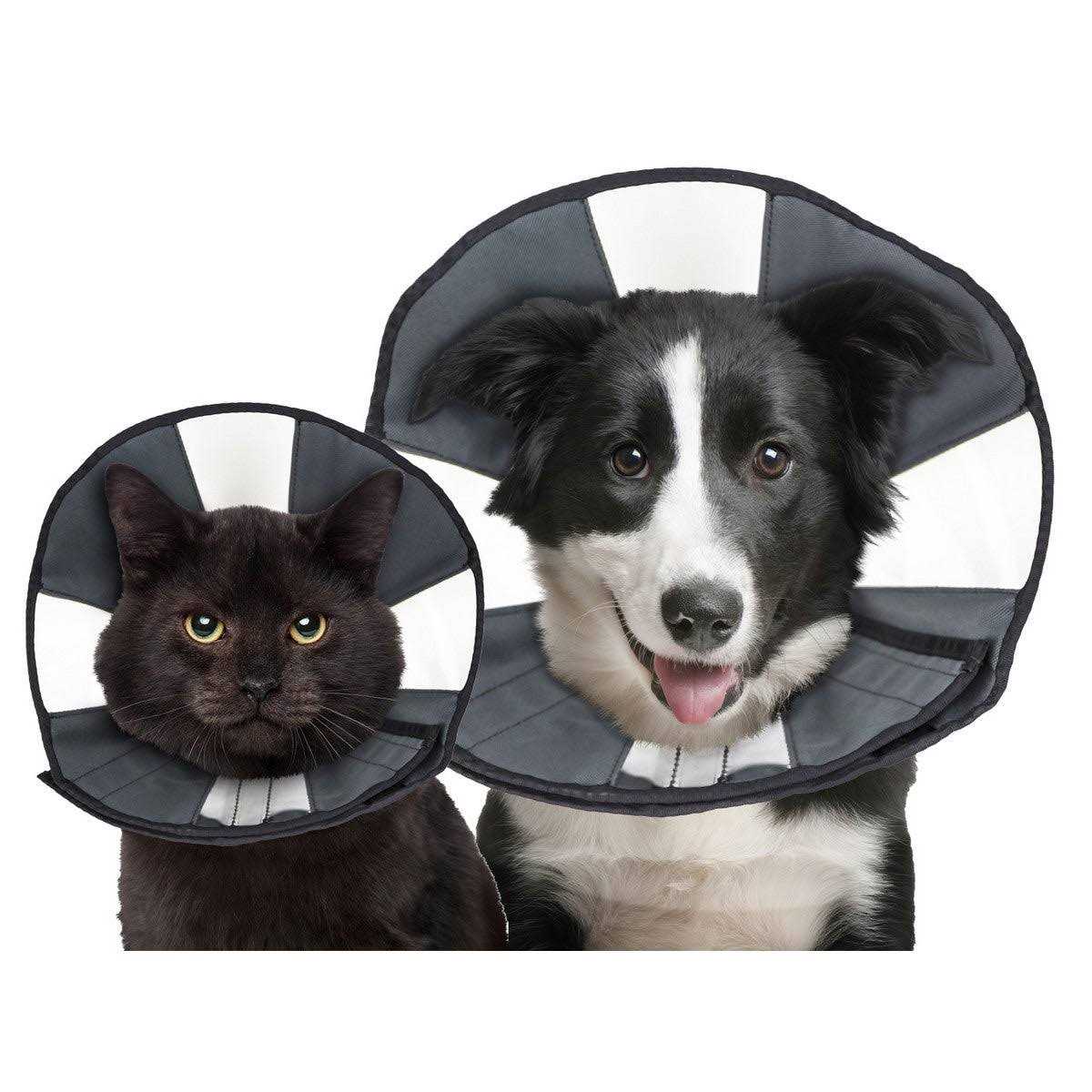 ZenPet Procone Soft Recovery Collar - Healthber