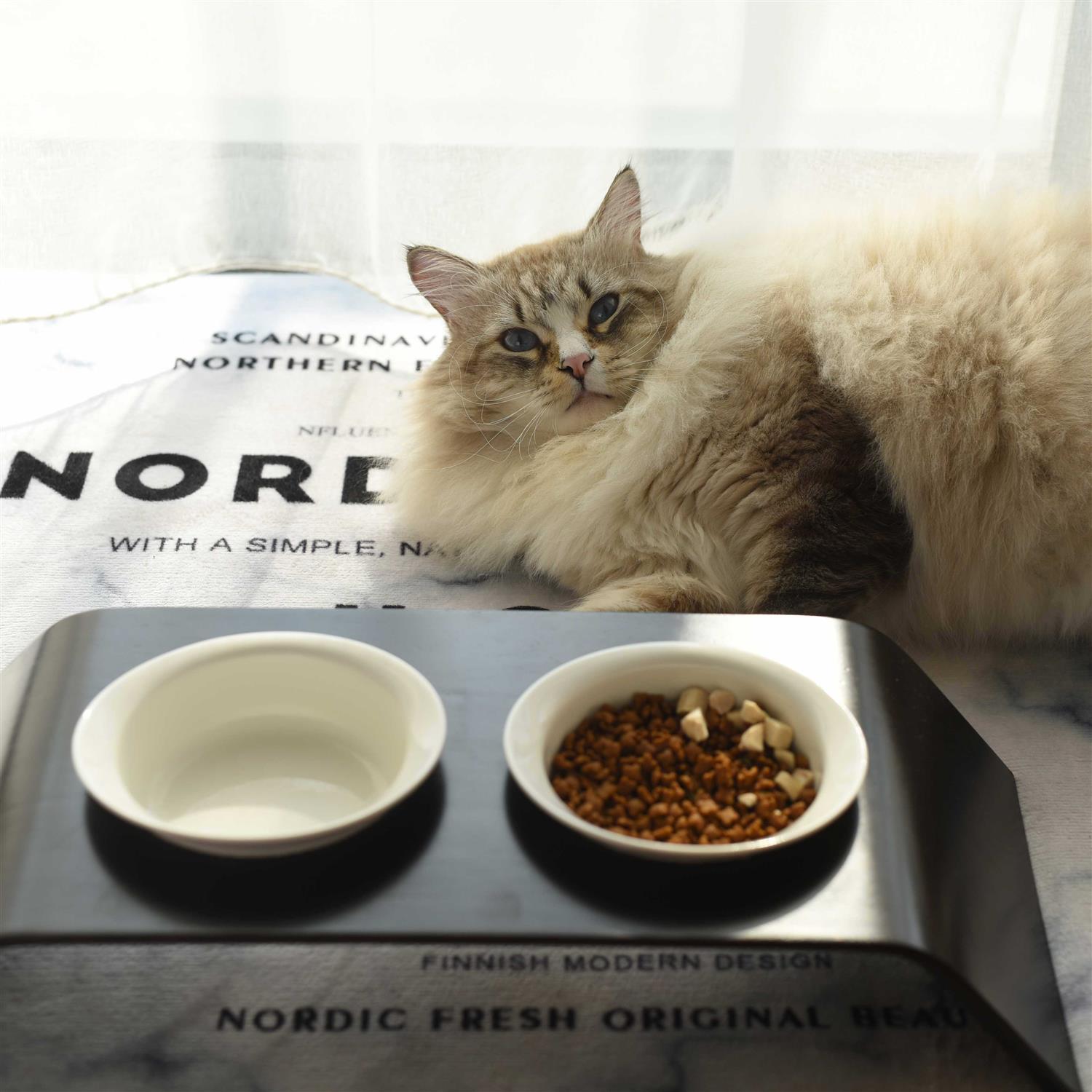 K1 Pet Design K1 CapCap Pet Food Table - Healthber