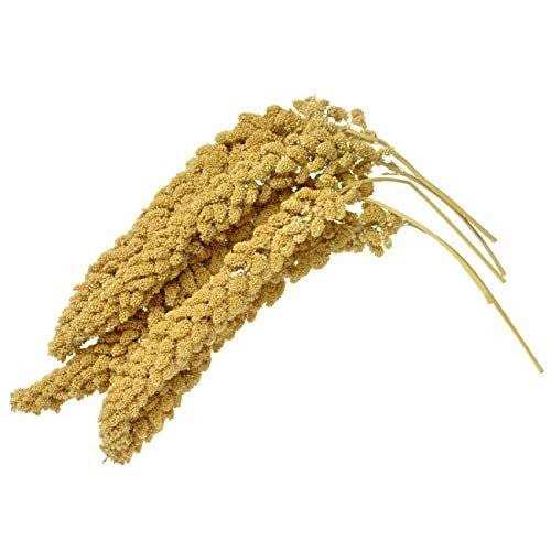 Birds LOVE Wholesome & Lovely Spray Millet GMO Free No Pesticide for Parrots Cockatiel Lovebird Parakeet Finch Canary - Healthber