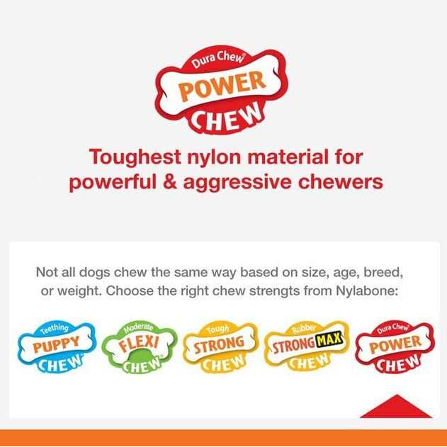 Nylabone Power Chew Customer Favorites Dog Chew Toys Bundle - Healthber