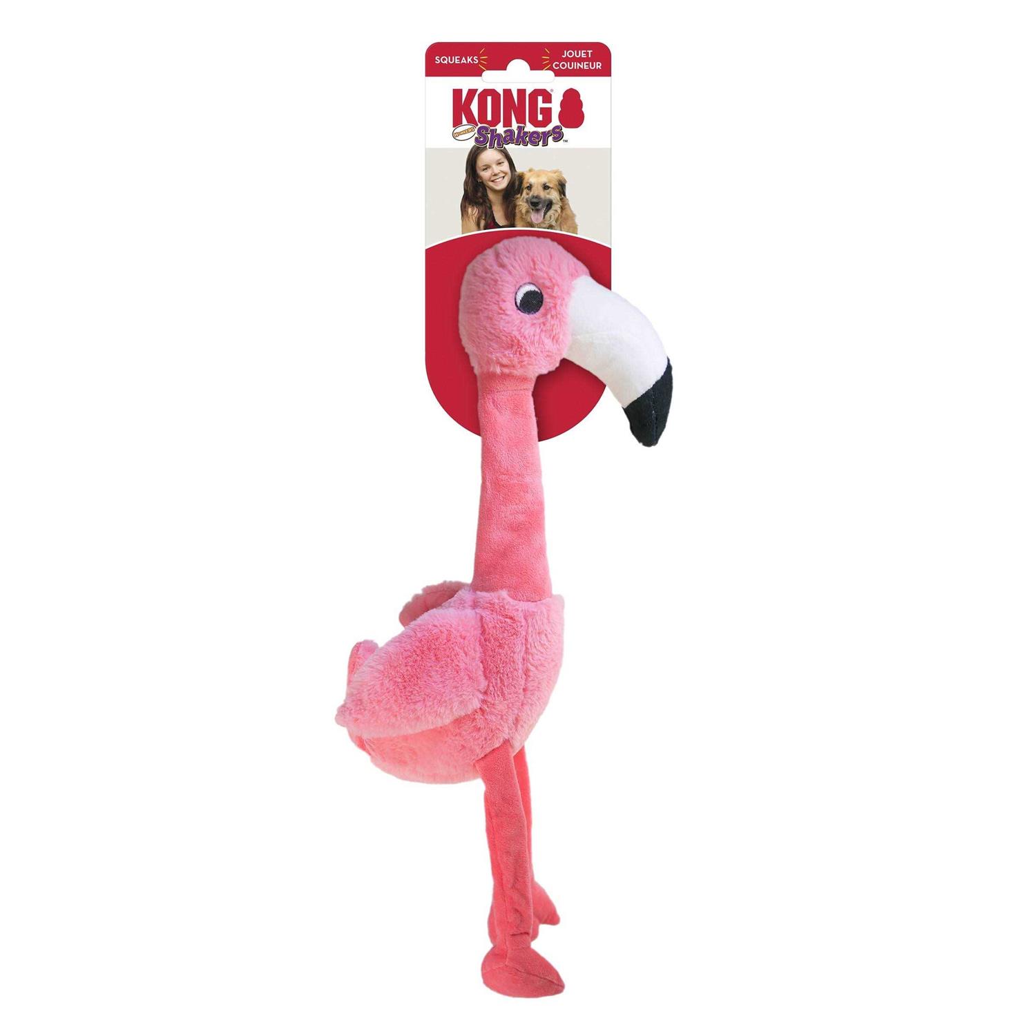 KONG Shakers Honkers Duck Toy - Healthber