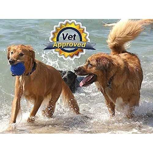 Dog Pain Away Pain Reliever Treats Arthritis And Joint Pain And Increases Mobility - Healthber