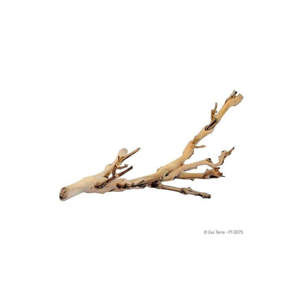 Exo Terra Forest Branch - Healthber