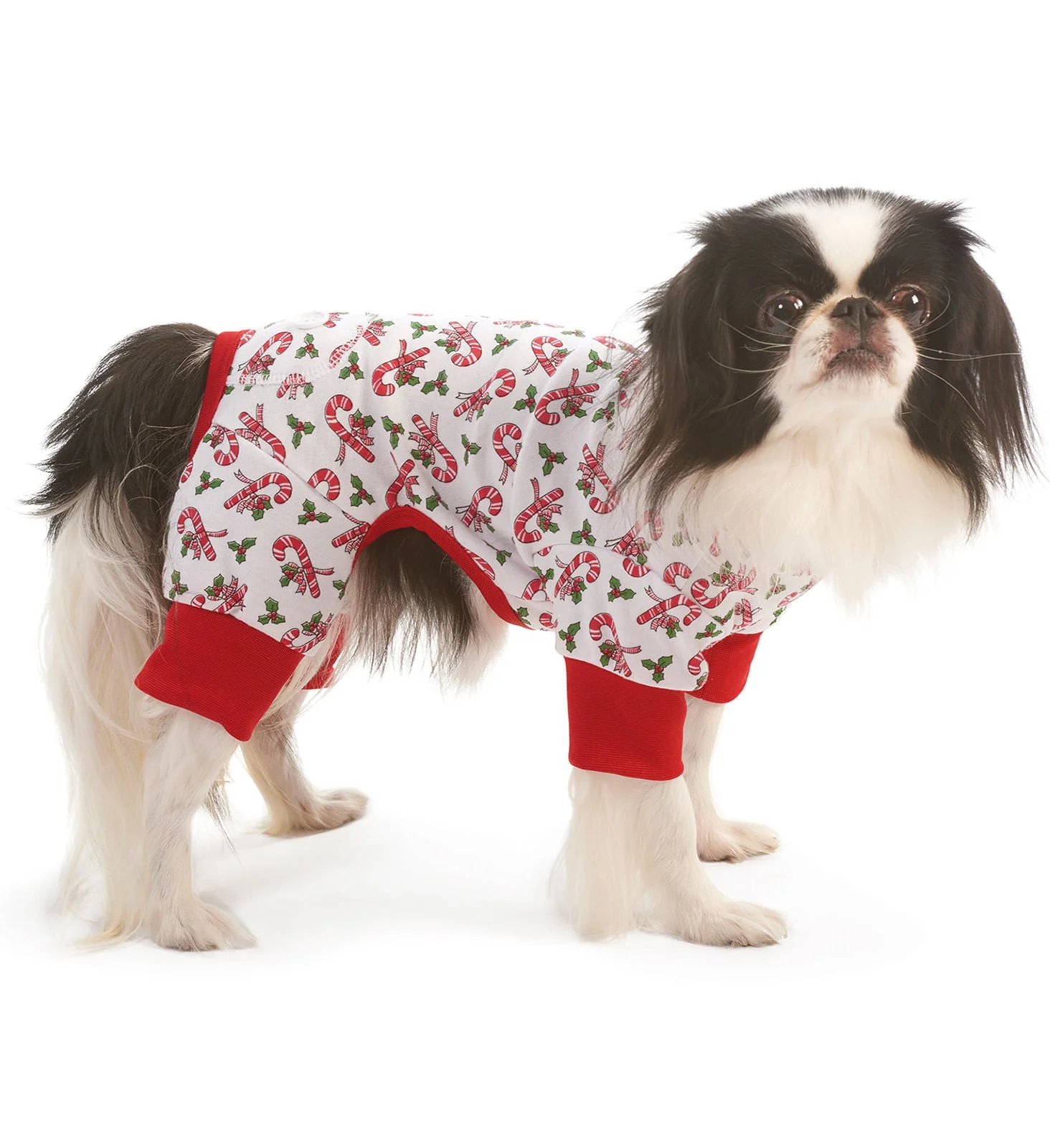 Dog Christmas Pajamas, Candy Cane - Healthber