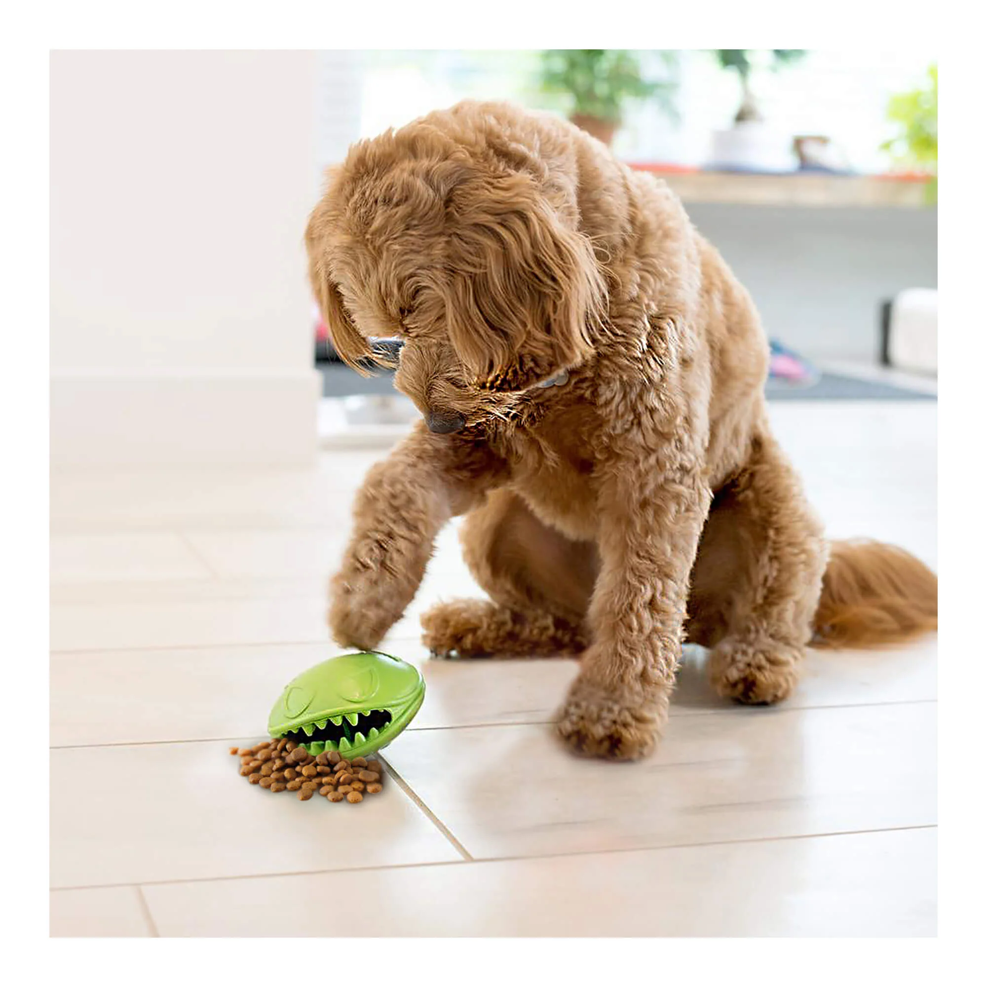 Monster Mouth Treat Dispenser - Healthber