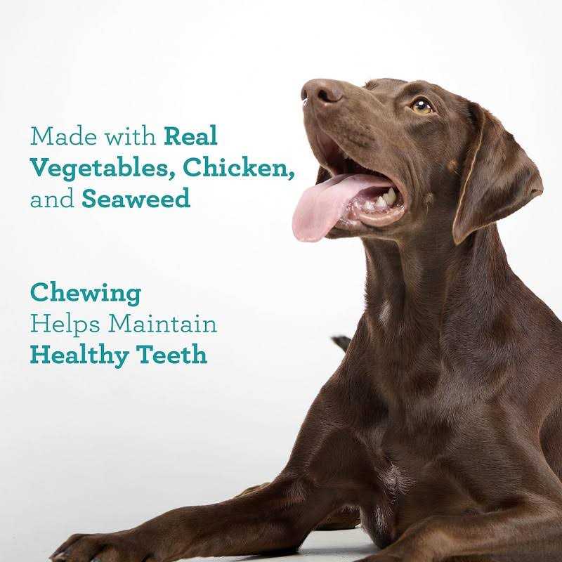 DreamBone Triple Action Dental Sticks - Healthber