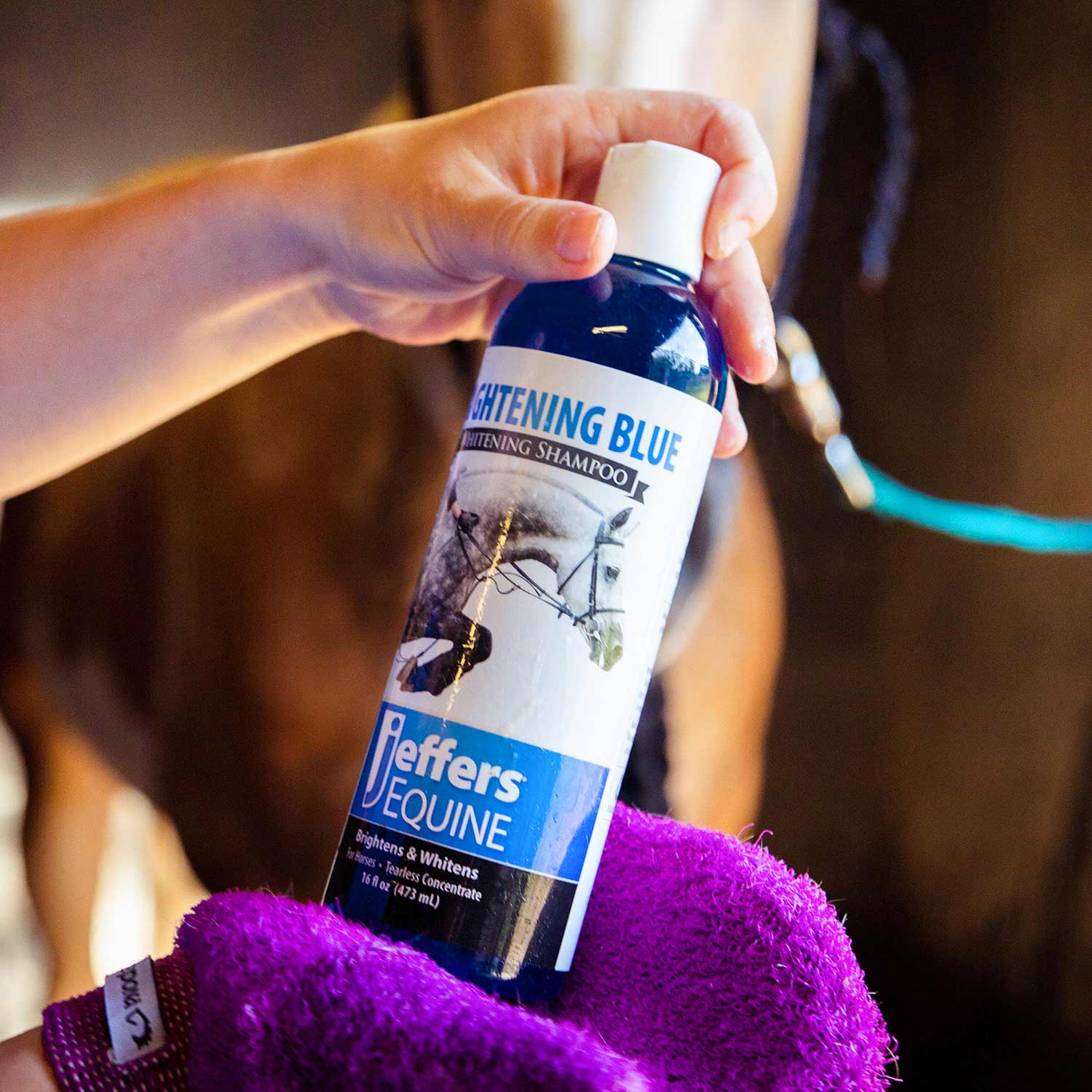 Equine Brightening Blue Whitening Horse Shampoo - Healthber