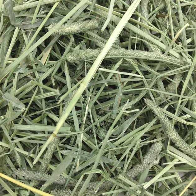 Oxbow Harvest Stacks Western Timothy Hay - Healthber