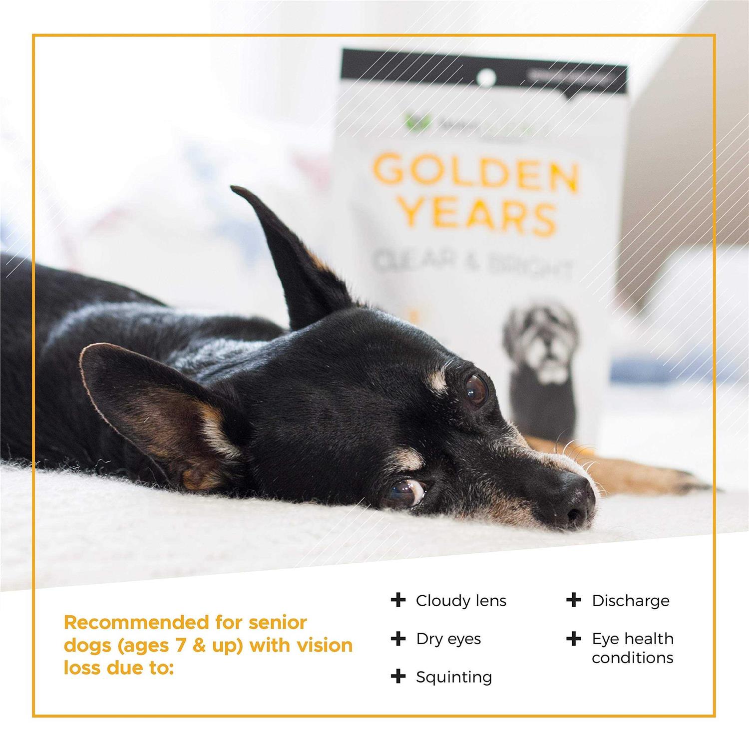 VetriScience Golden Years Clear & Bright Supplement for Dogs 5.29 oz - Healthber