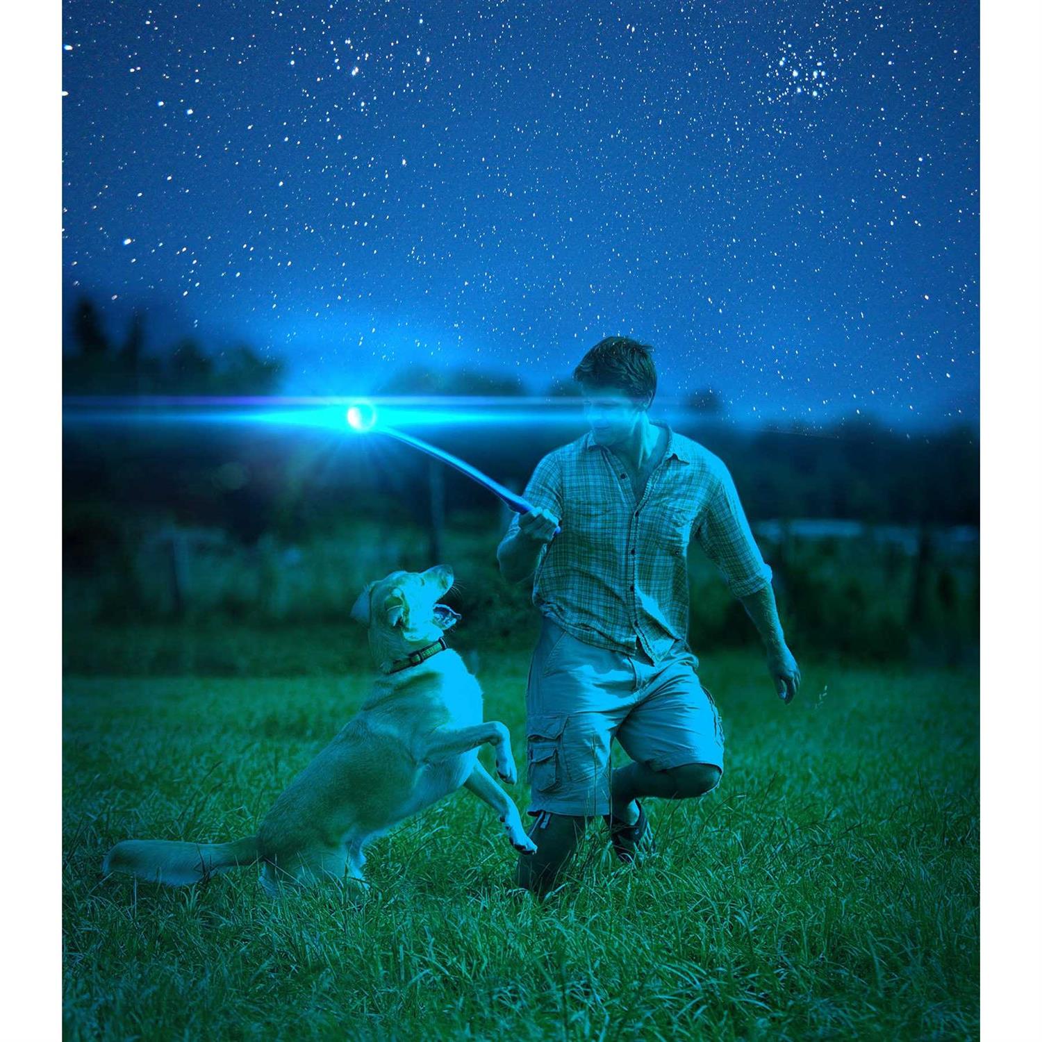 Chuckit Light Up Fetch Ball for Dogs - Healthber