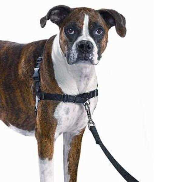 PetSafe Easy Walk Dog Harness - Healthber