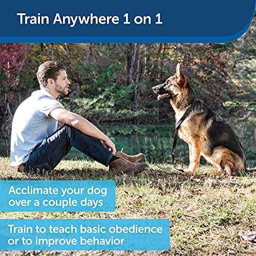 PetSafe Collarless Ultrasonic Remote Dog Trainer - Healthber