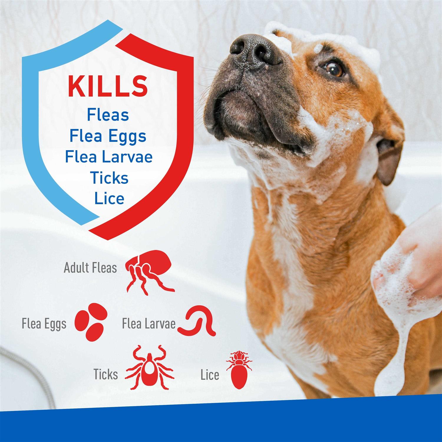 Adams Plus Flea Tick Shampoo - Healthber