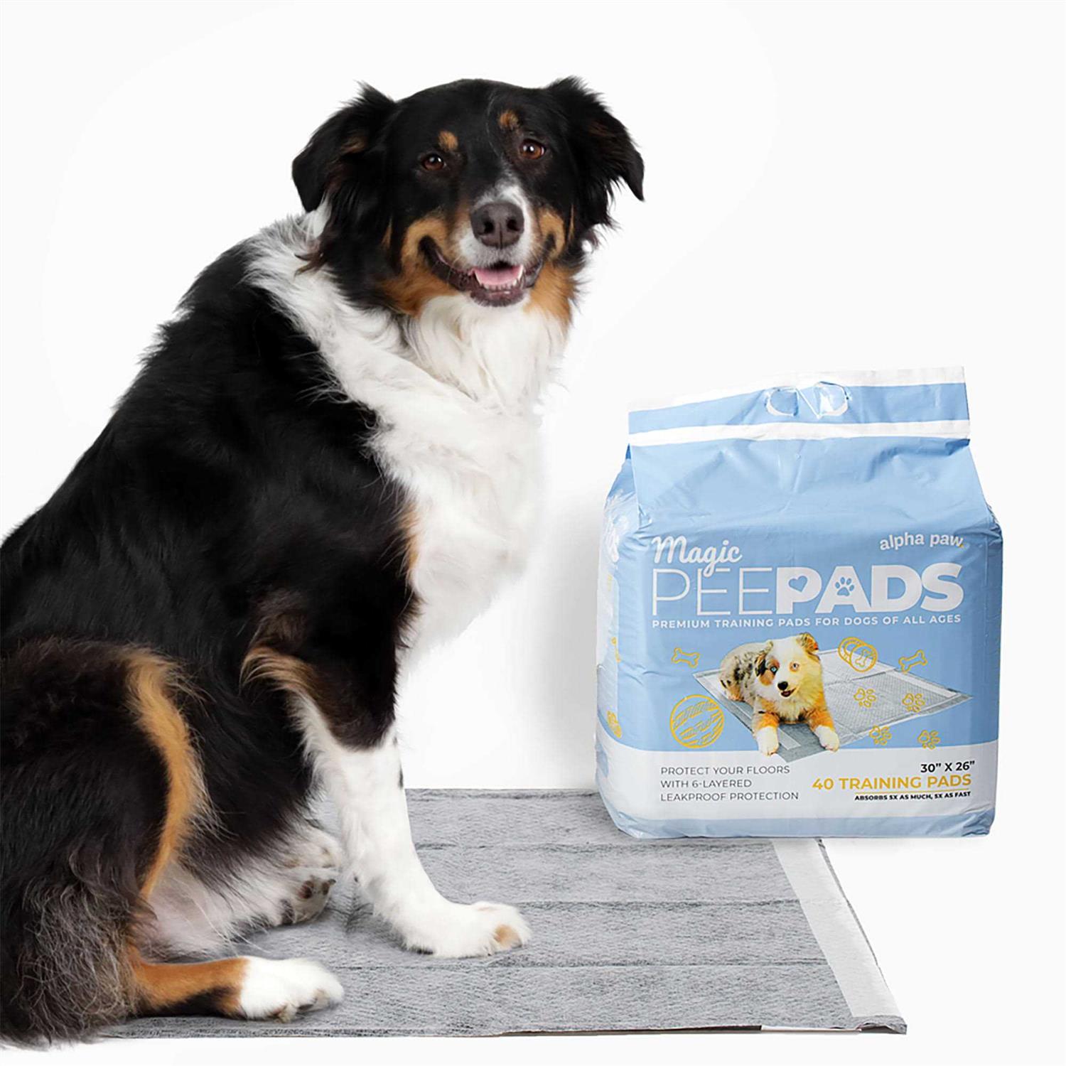 Alpha Paw Magic Dog Pee Pads - Healthber