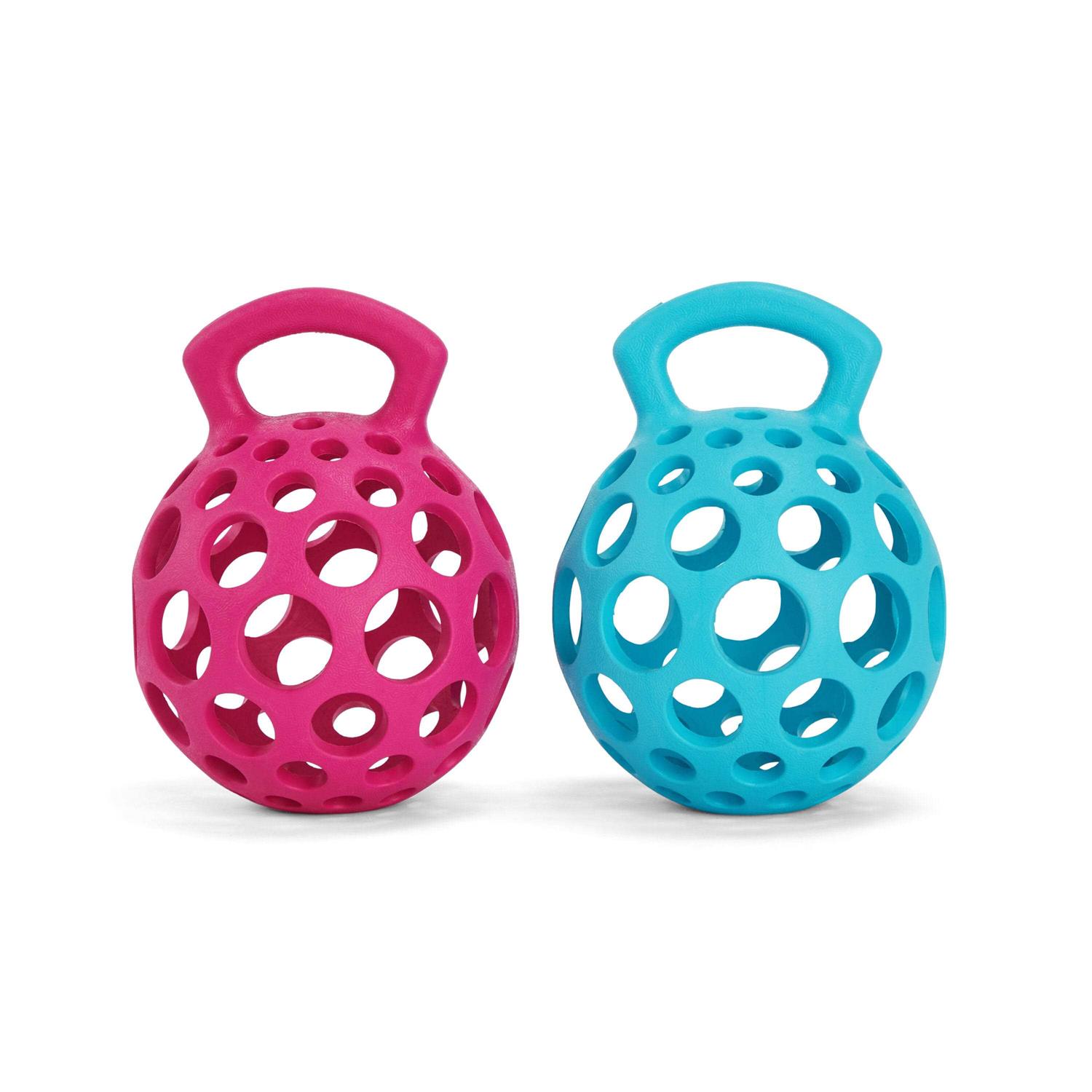 Leaps & Bounds Cage Ball with Handle Dog Toy - Healthber