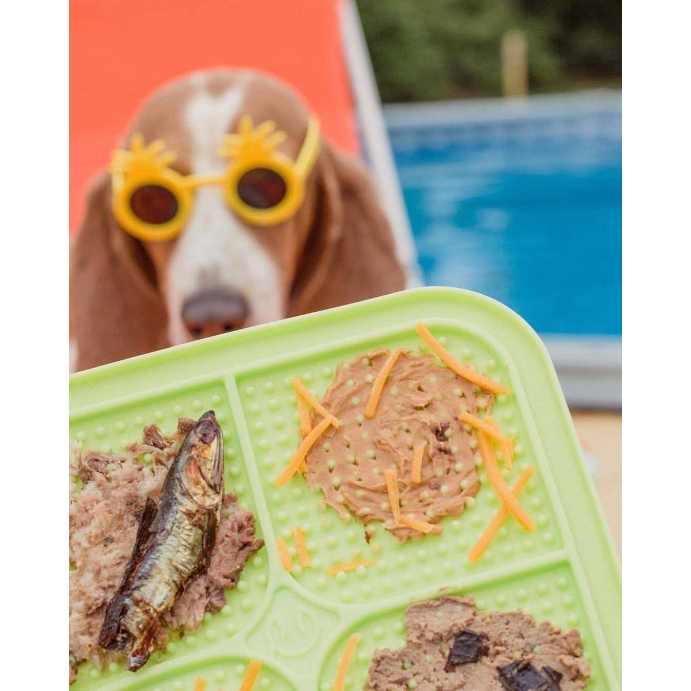 Boredom Busters Licking Mat - Healthber