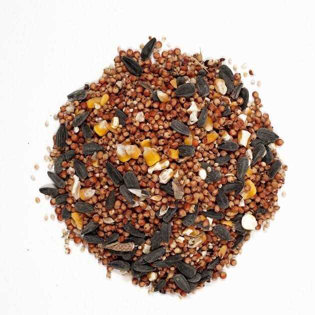 Wagner’s Farmer’s Delight Wild Bird Food - Healthber