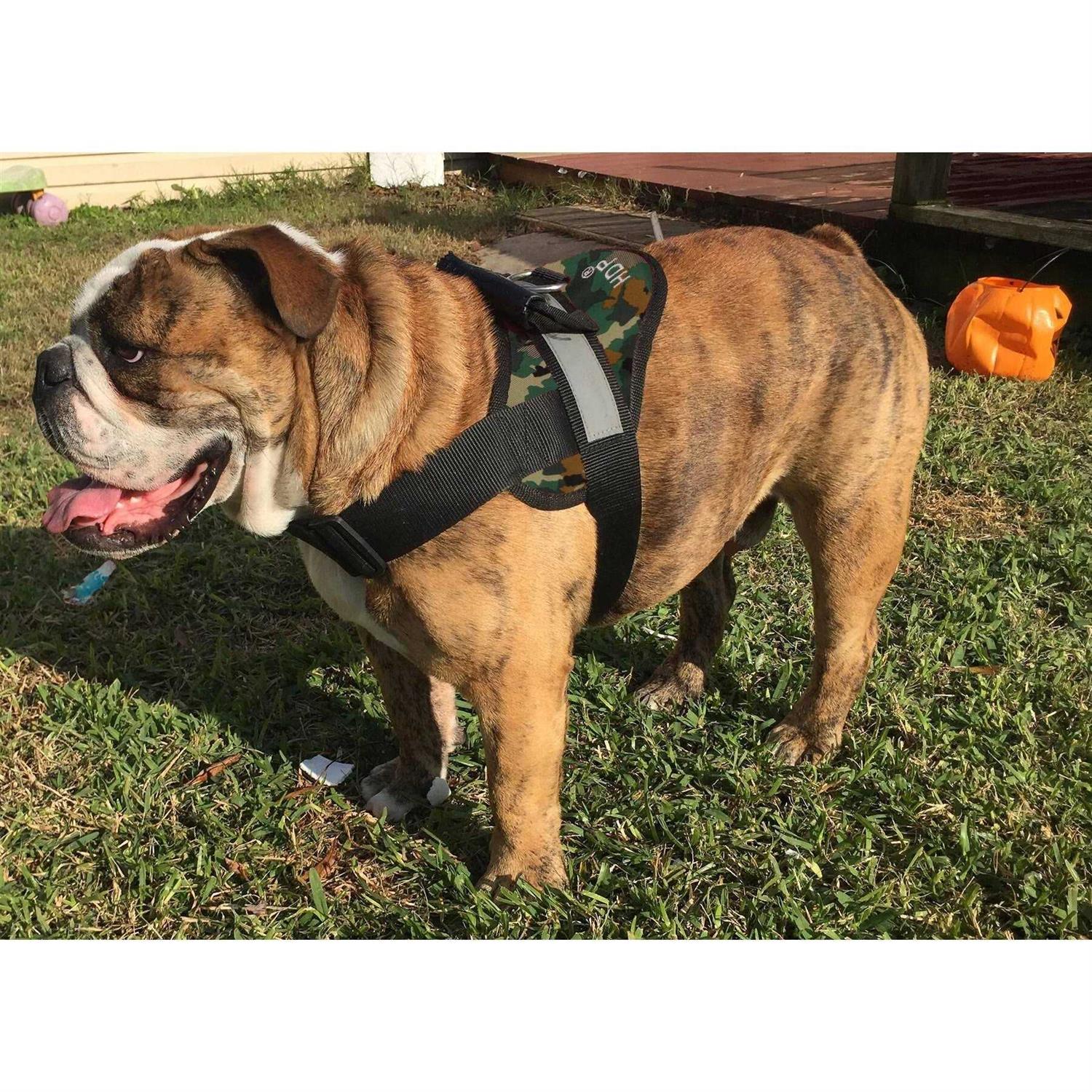 HDP Big Dog Soft No Pull Harness - Healthber