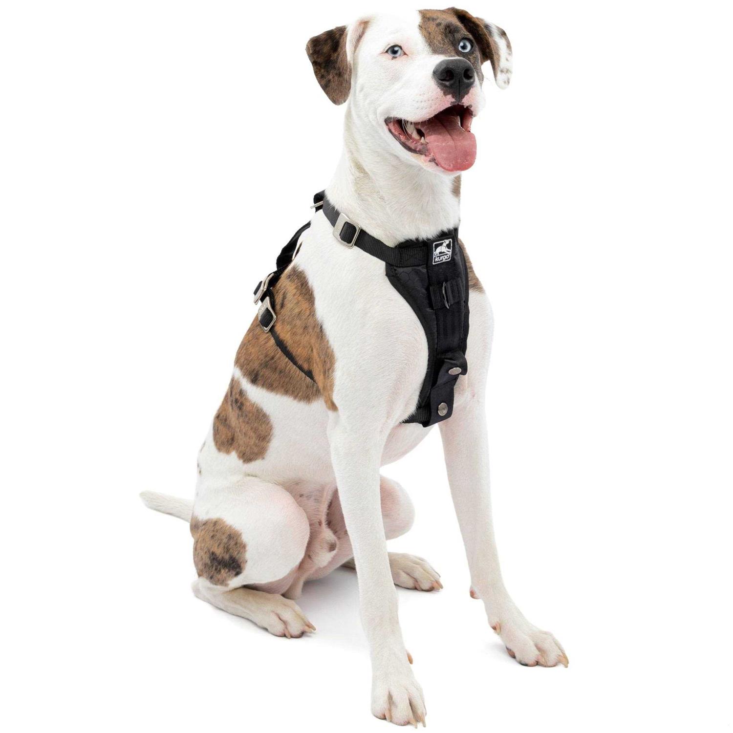 Kurgo Tru-Fit Enhanced Strength Smart Dog Harness - Healthber