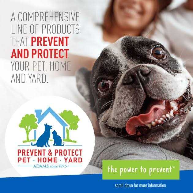 Adams Foaming Flea And Tick Shampoo with Aloe And Cucumber - Healthber