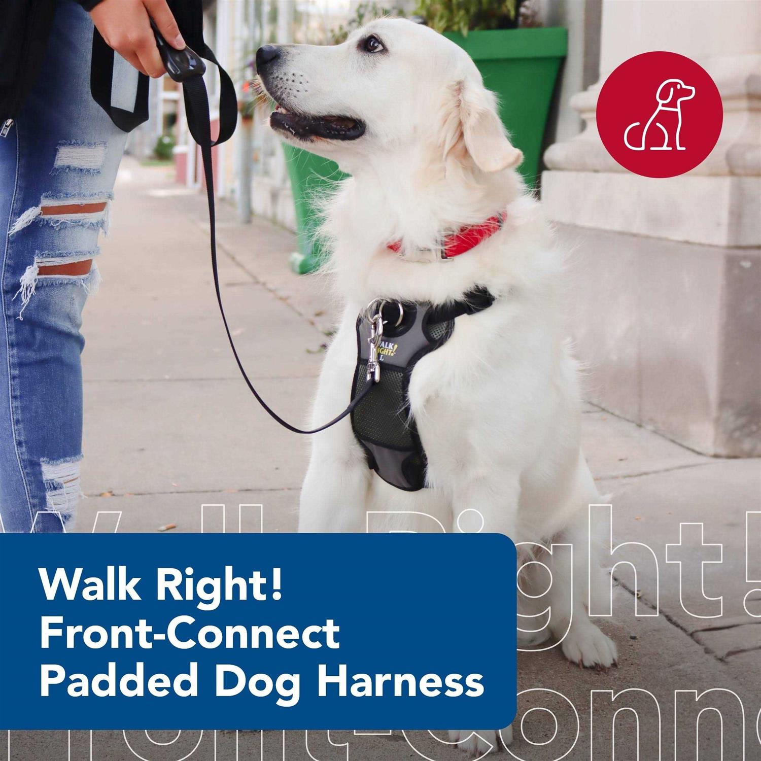 Coastal Pet Walk Right Padded Harness - Healthber