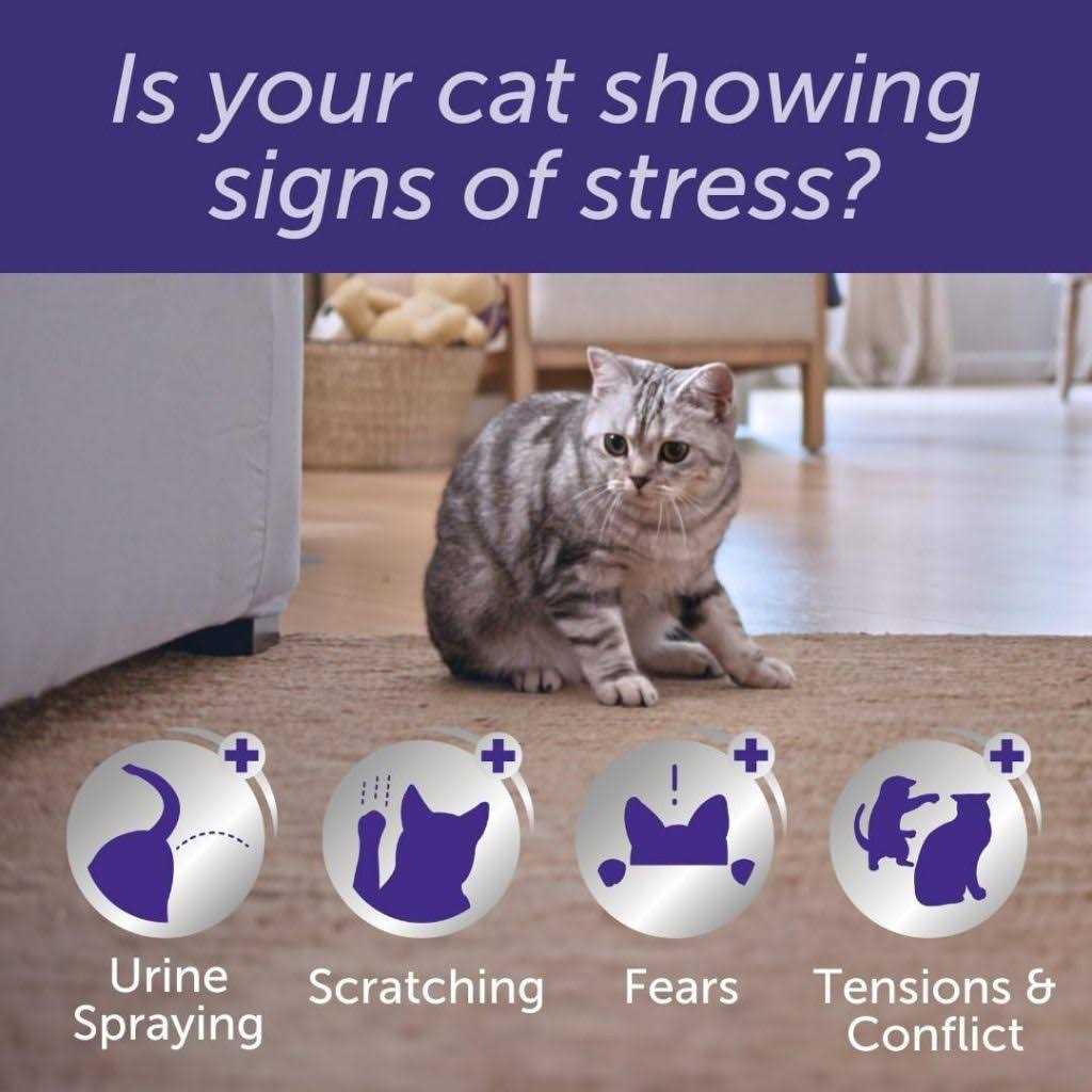 Feliway Optimum Enhanced Calming Pheromone 30 Day Cat Diffuser Refill - Healthber