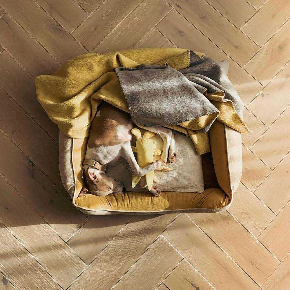 Dog Bed Square Bread - Healthber