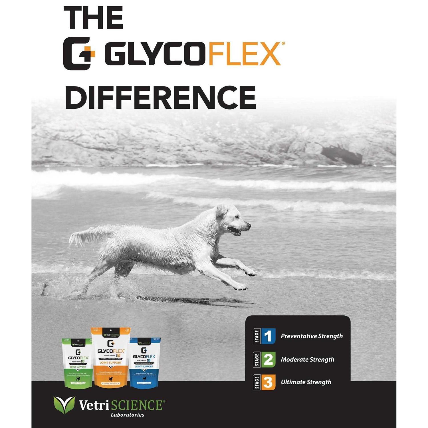 GlycoFlex 2 - Healthber