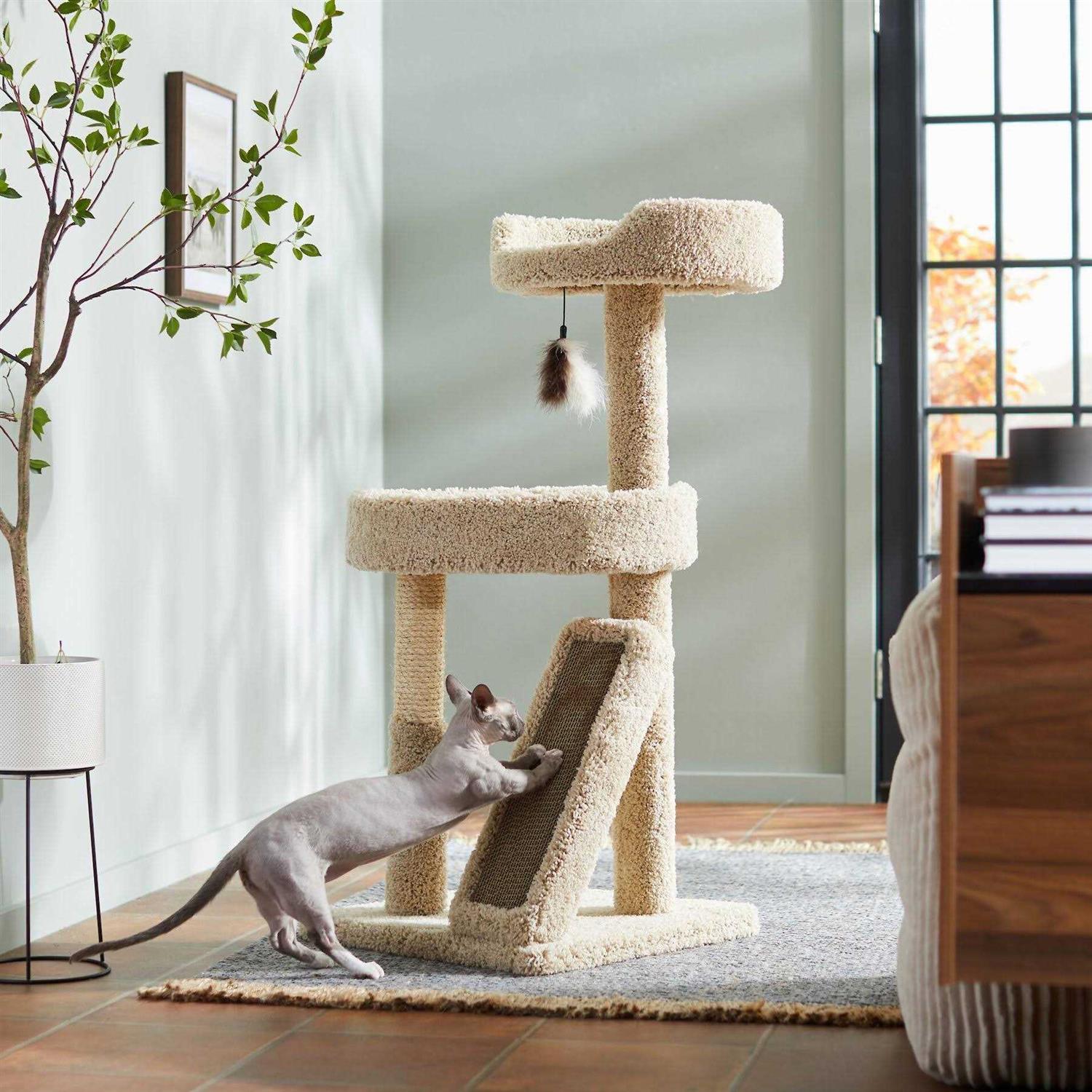Frisco 44-in Real Carpet Cat Tree with Replaceable Corrugate Scratcher - Healthber