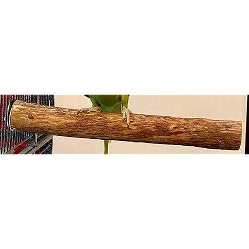 Pollys Hardwood Bird Perch - Healthber