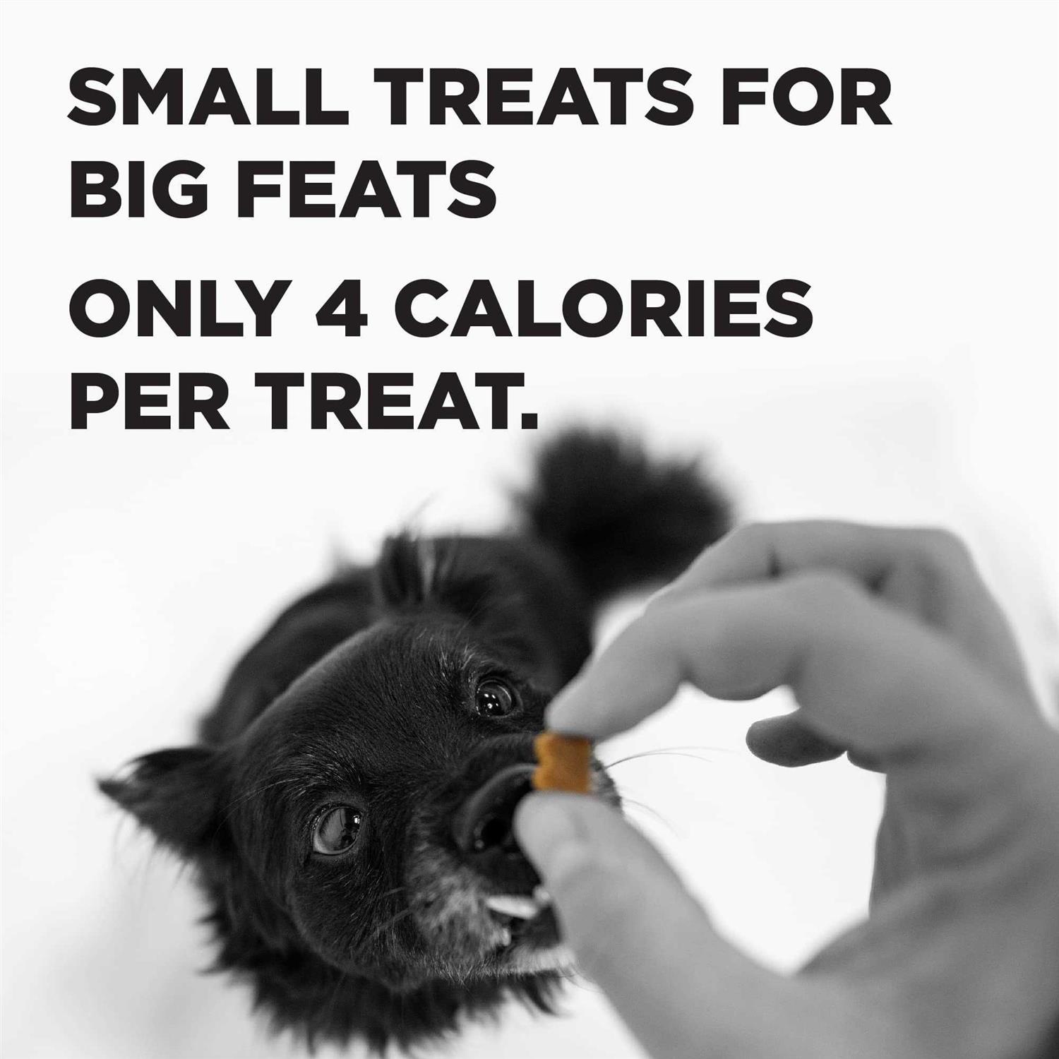 Liberty Trainers Dog Treats - Healthber