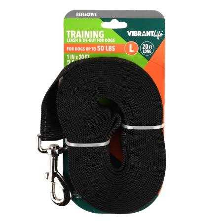 Vibrant Life 20′ Polyester Slip Lead Dog Leash - Healthber