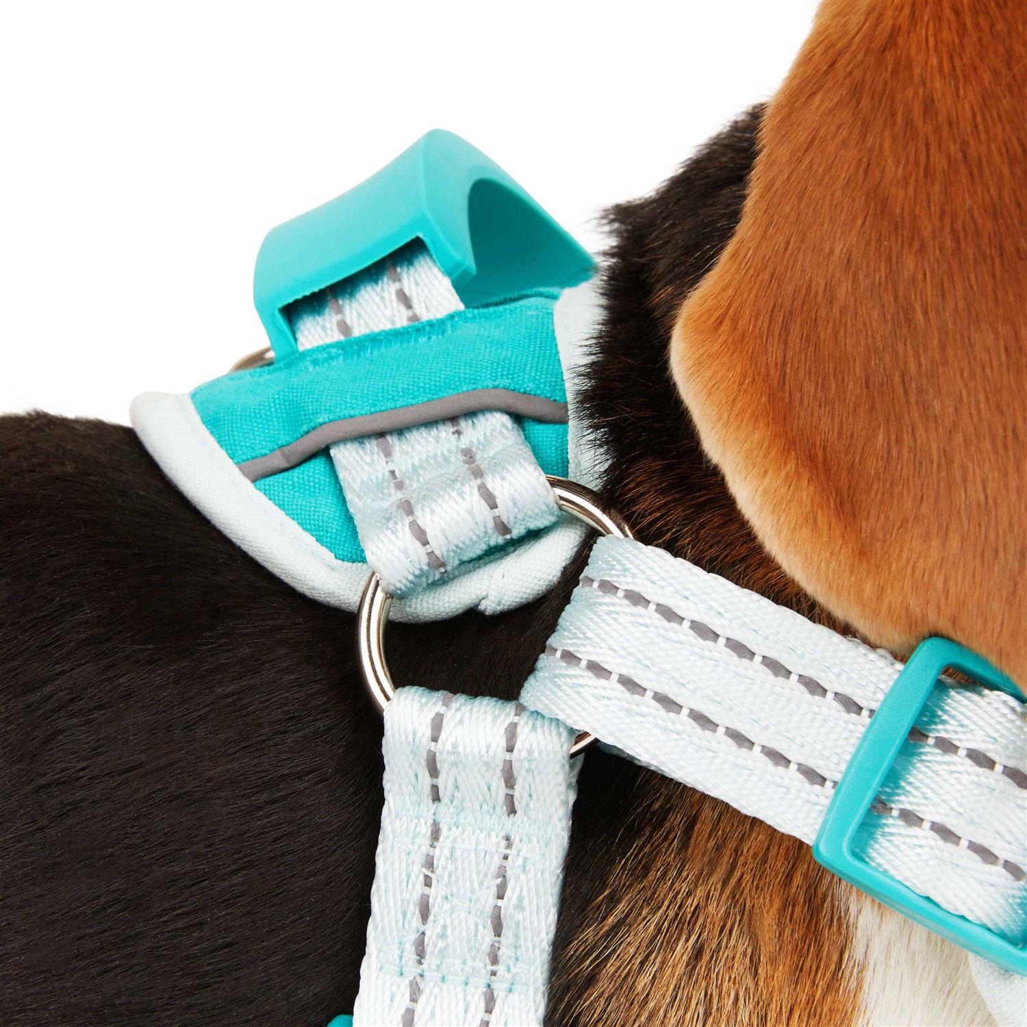 EveryYay Easy On Training Dog Harness - Healthber