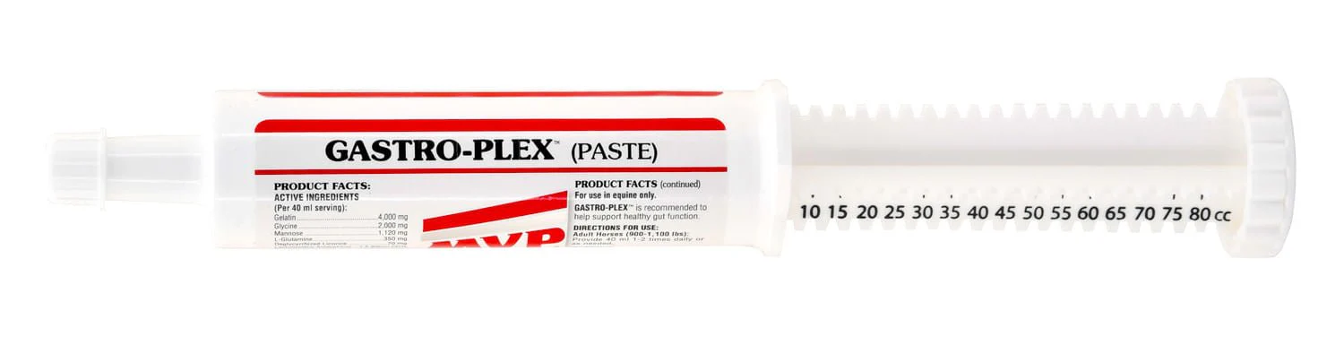 Med-Vet Gastro-Plex Paste - Healthber