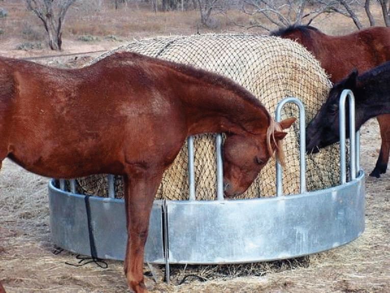 Texas Round Bale Hay Net - Healthber