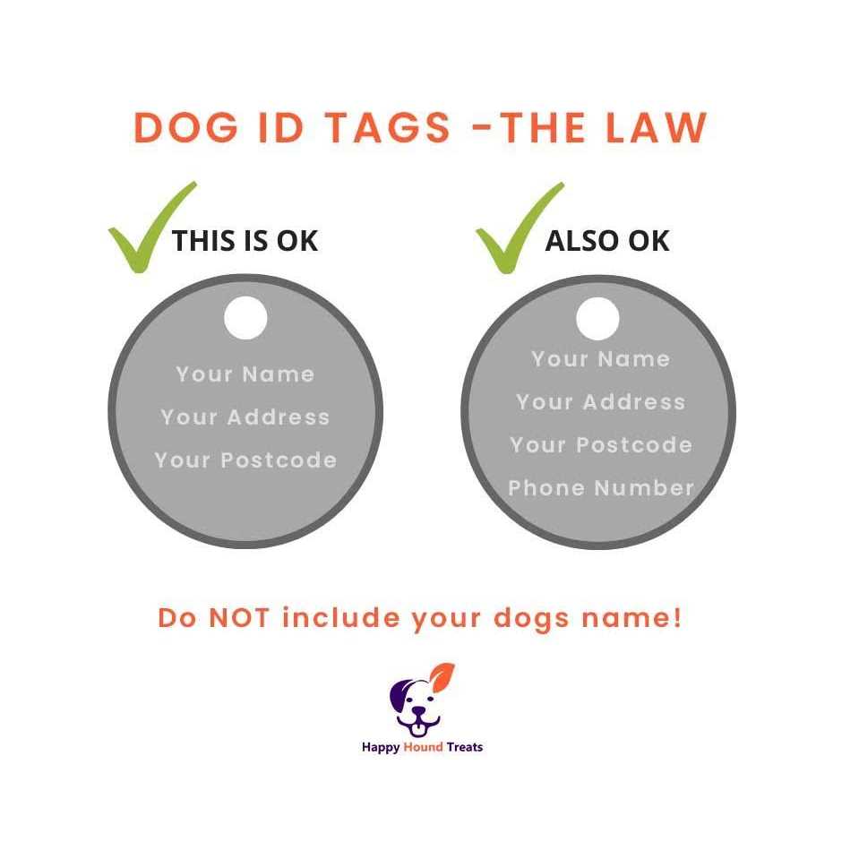 Red Dingo Medical ID Dog Tag - Healthber