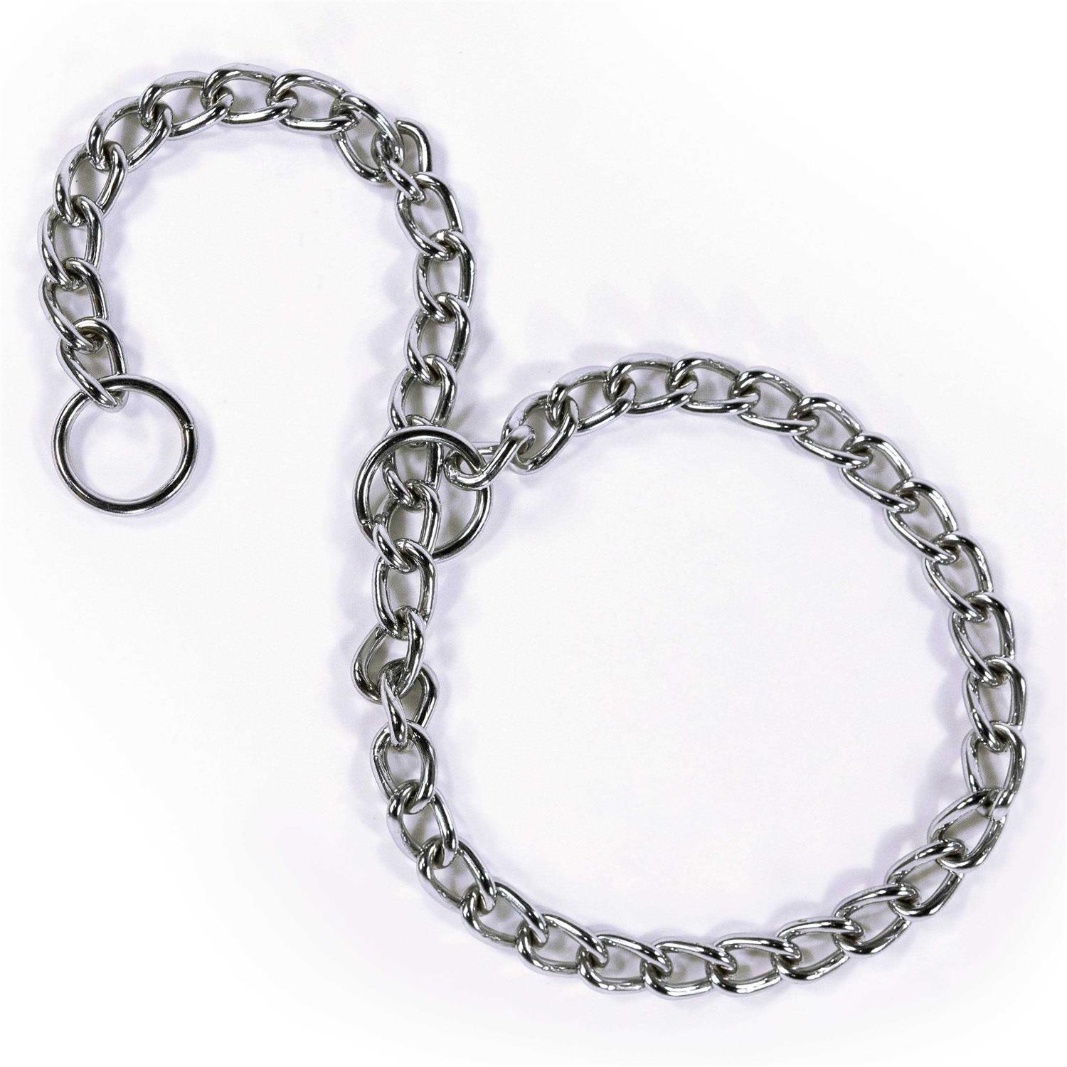 Pet Champion Chain Collar - Healthber