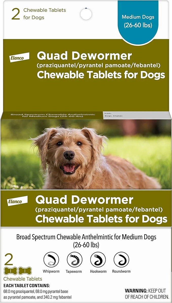 Quad Dewormer Chewable Tablets for Dogs - Healthber