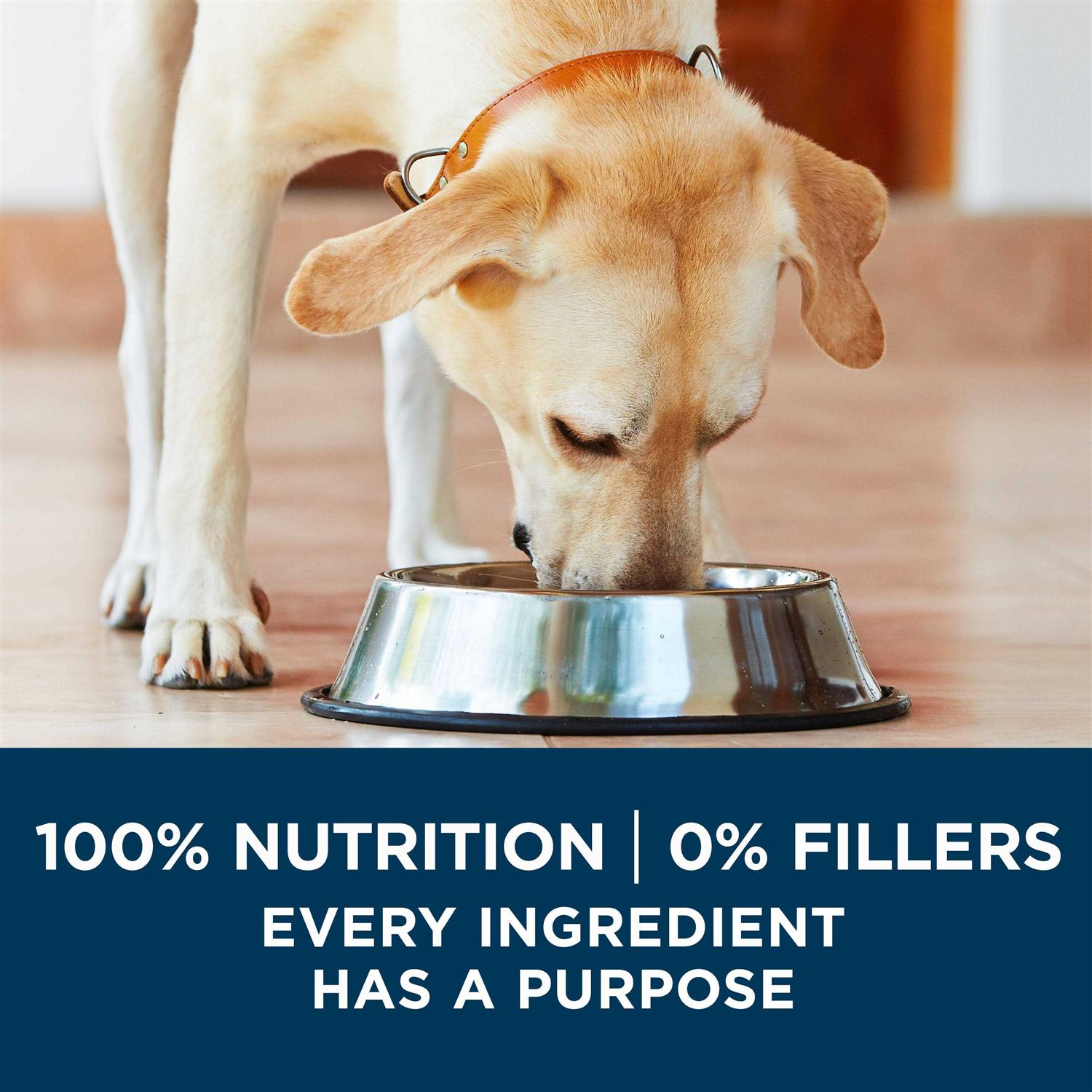 Purina ONE SmartBlend Large Breed Formula Adult Dry Dog Food - Healthber