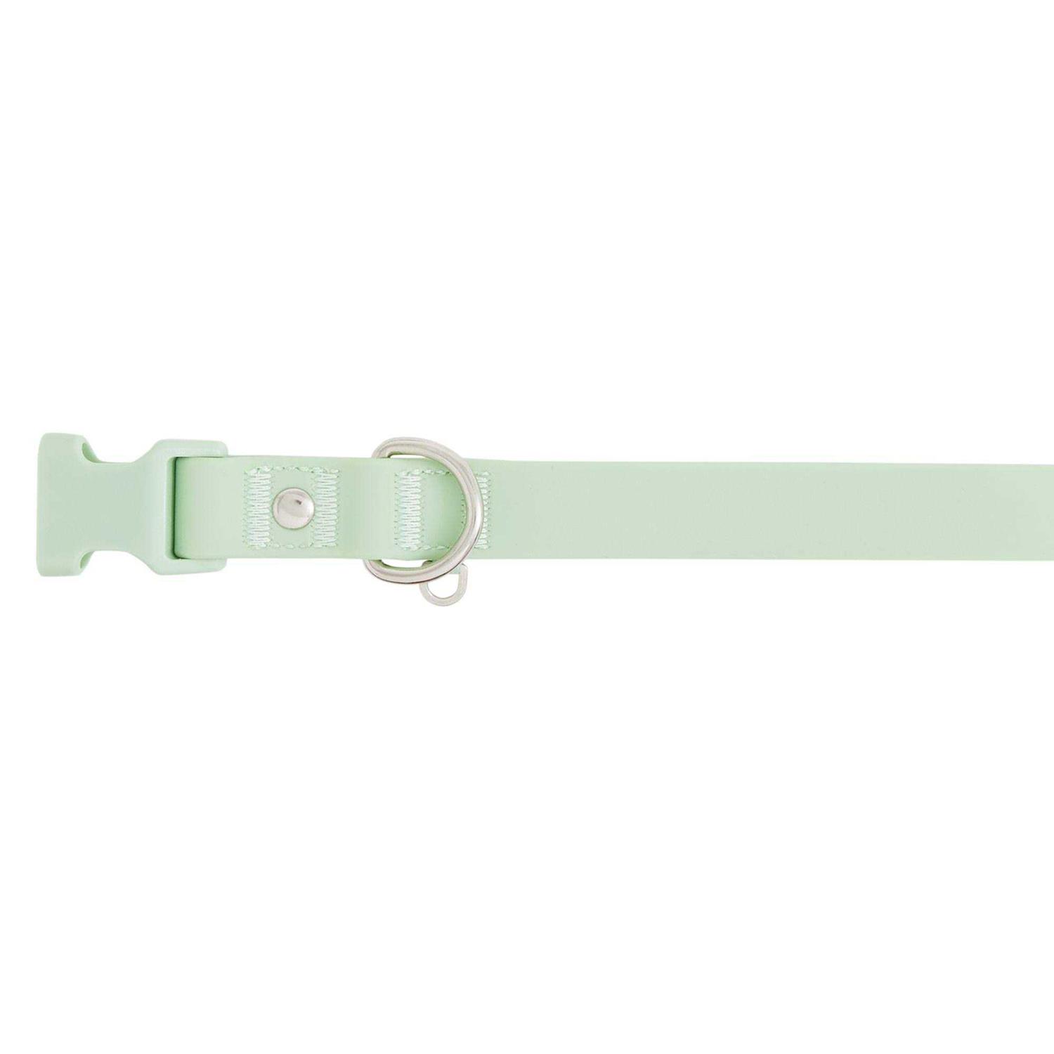 Top Paw Core Fashion Dog Collar - Healthber
