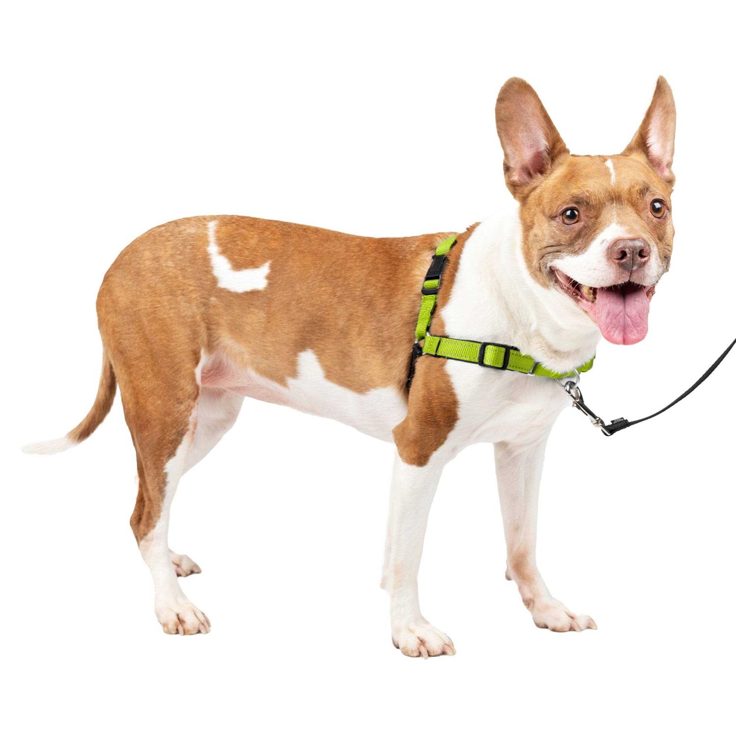 PETSAFE Easy Walk Harness - Healthber