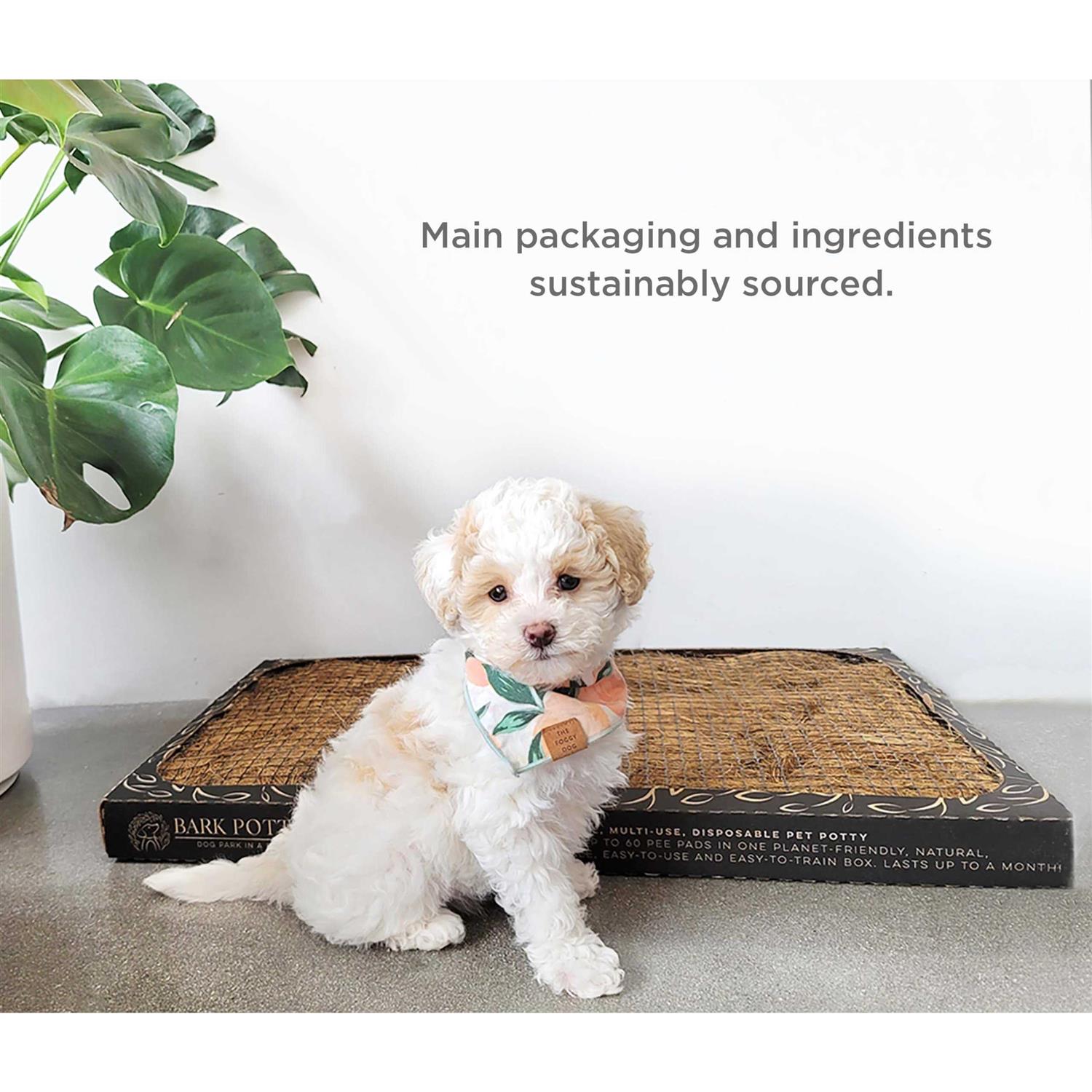 Bark Potty Disposable dog Potty Multi-Use odor neutralizing - Healthber