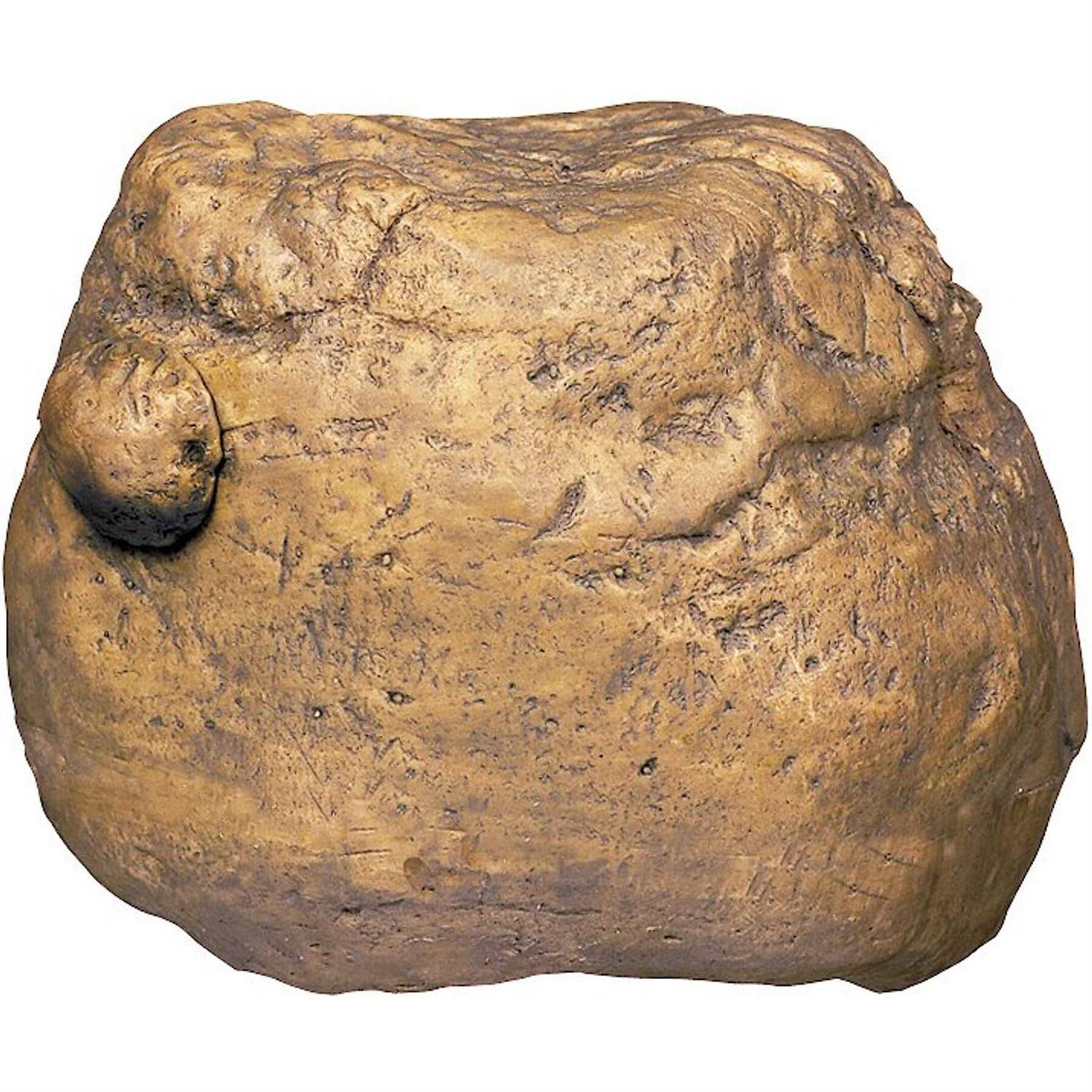 Exo Terra Feeding Rock Reptile Cricket Feeder - Healthber