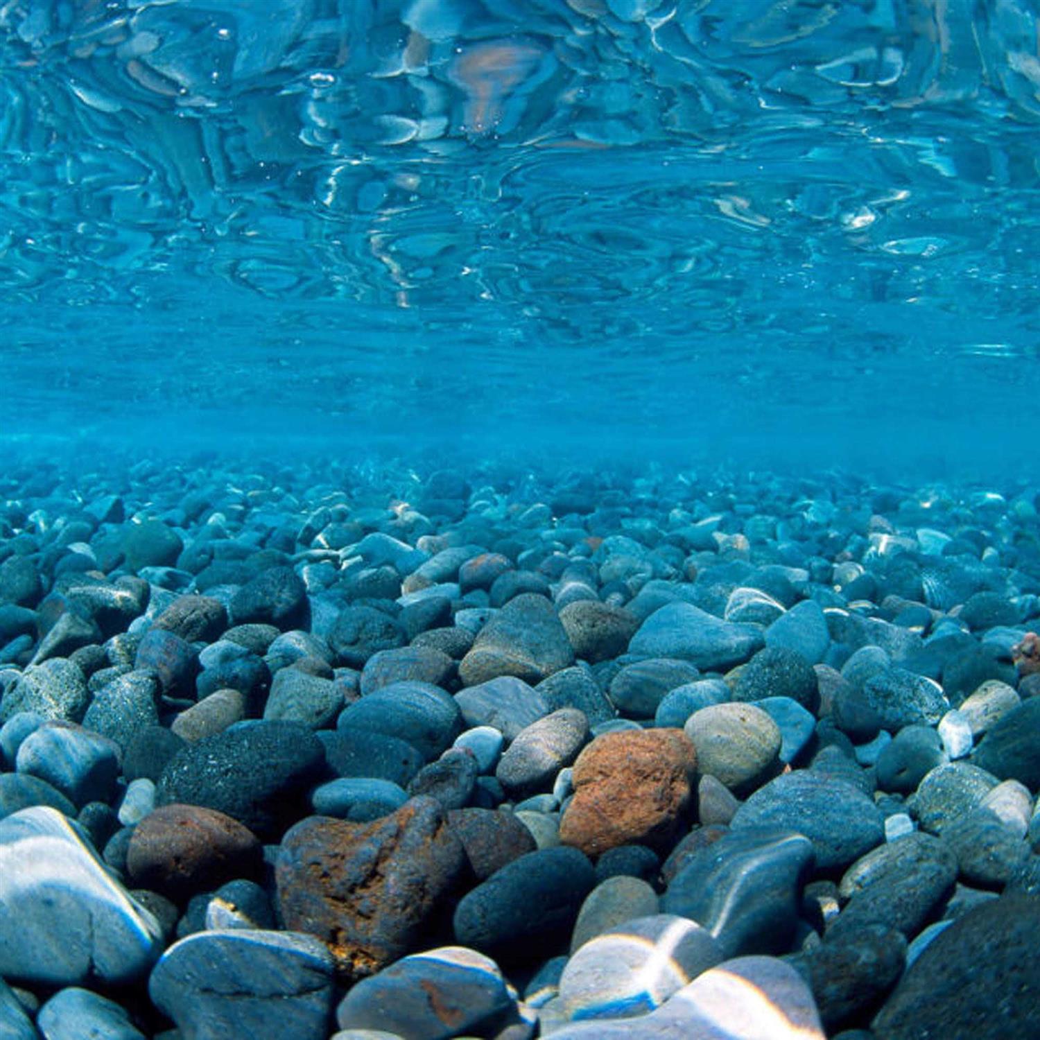 Seaview 10G-20L River Rock & Green Aquarium Background Decor - Healthber