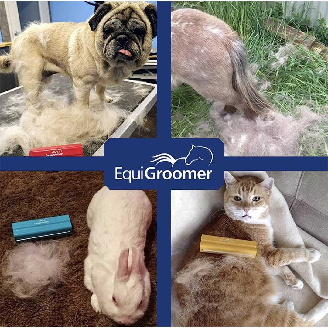 EquiGroomer Deshedding Brush for Horses Undercoat Tool for Large Pets With Short and Long Hair - Healthber