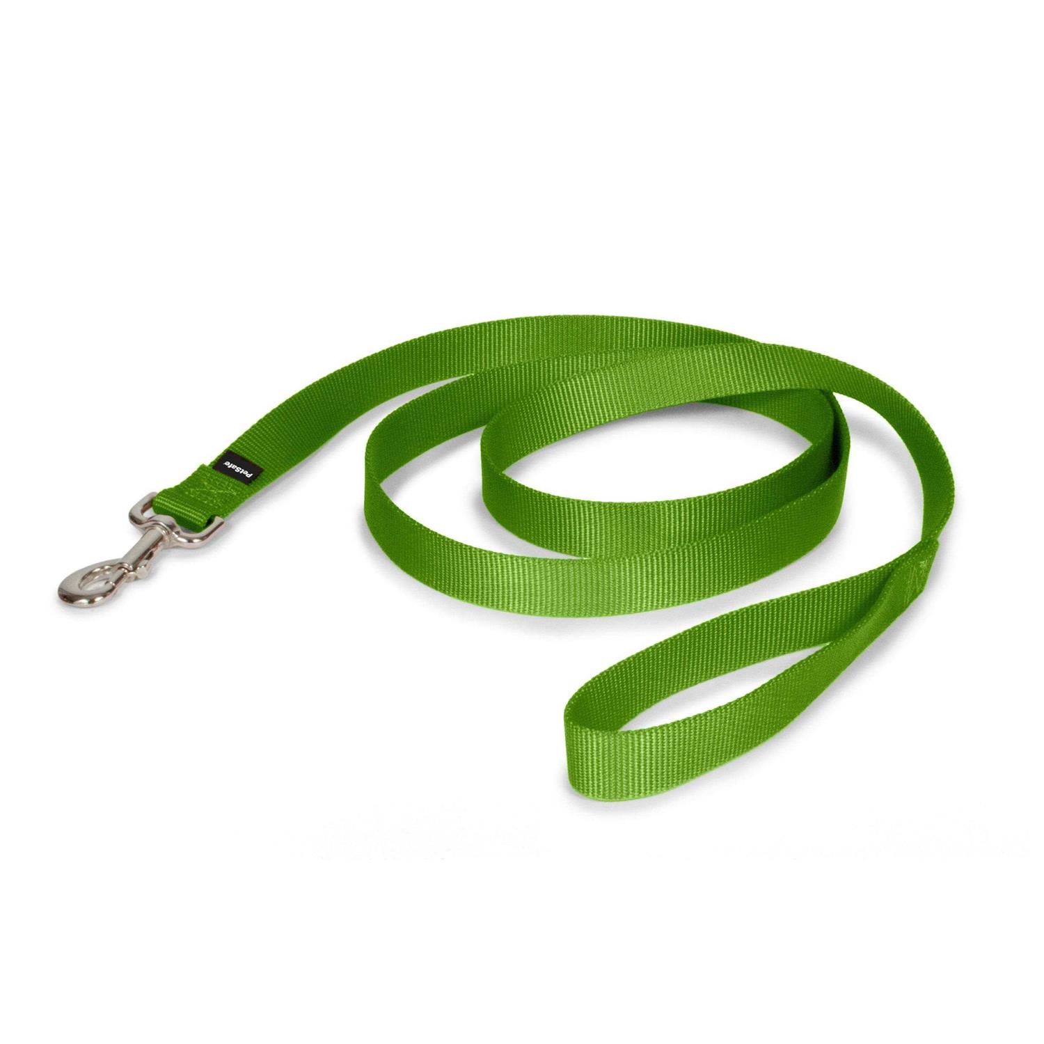 PetSafe Nylon Dog Leash - Healthber