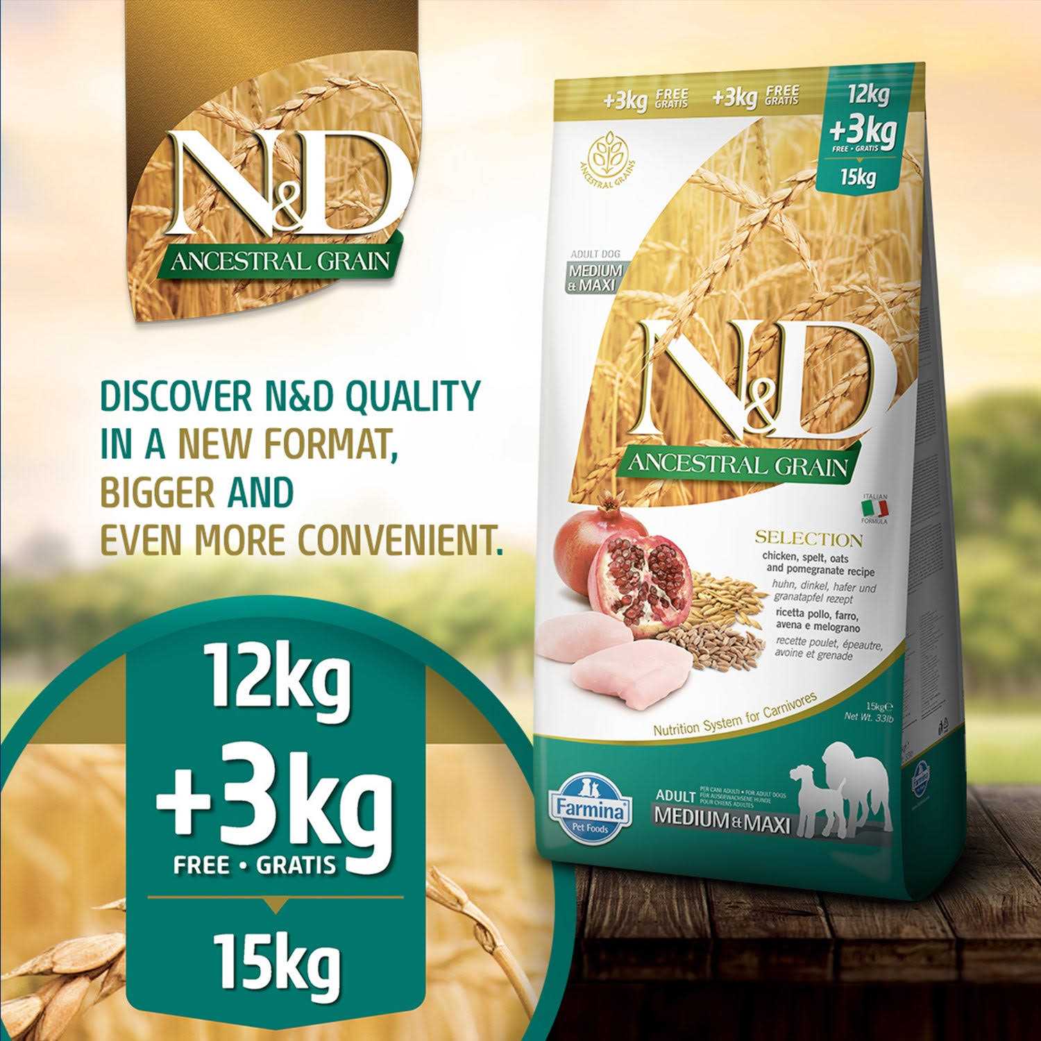 Farmina N&D Ancestral Grain Chicken & Pomegranate Medium & Maxi Adult Dry Dog Food - Healthber