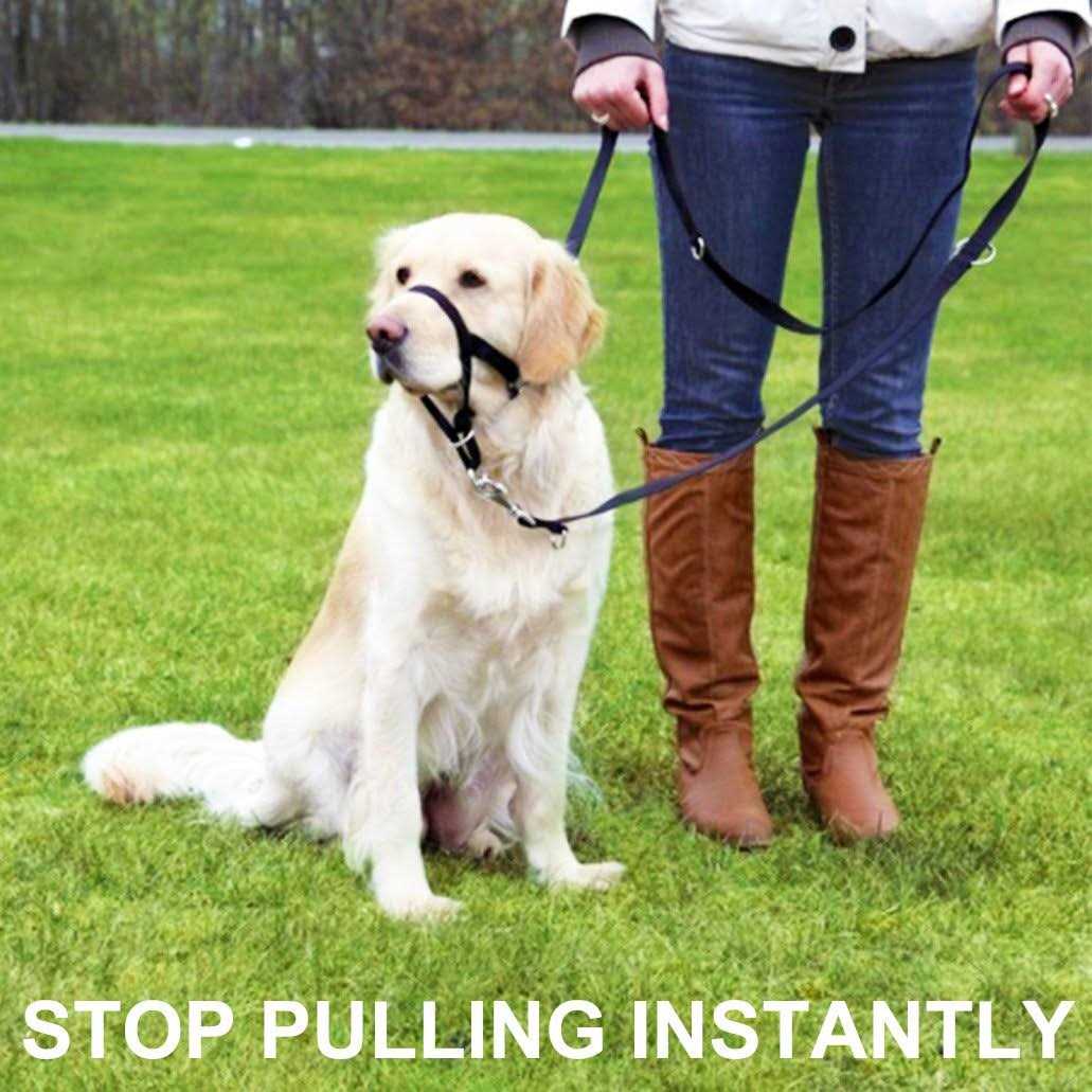 Barkless Dog Head Collar No Pull Training Tool for Dogs on Walks - Healthber